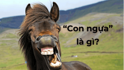 "Con ngựa" ô tô là gì?