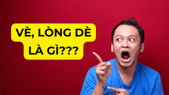 Vè, lòng dè ô tô là gì?