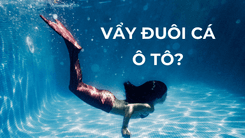 Vẩy đuôi cá ô tô là gì?